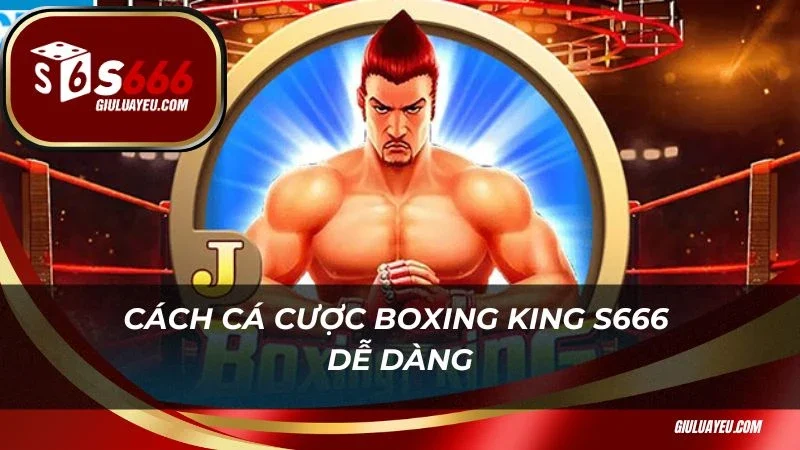 Boxing King S666 Cách cá cược Boxing King S666 dễ dàng