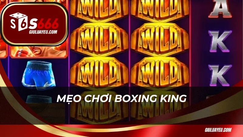 Boxing King S666 Mẹo chơi Boxing King