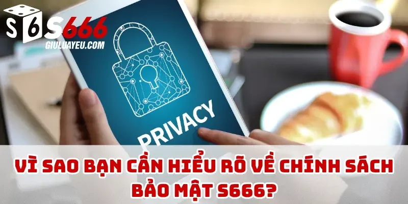 Vì sao bạn cần hiểu rõ về chính sách bảo mật S666?