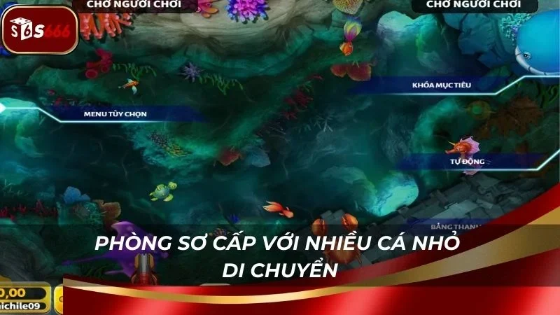 Phòng chơi sơ cấp với nhiều con cá nhỏ